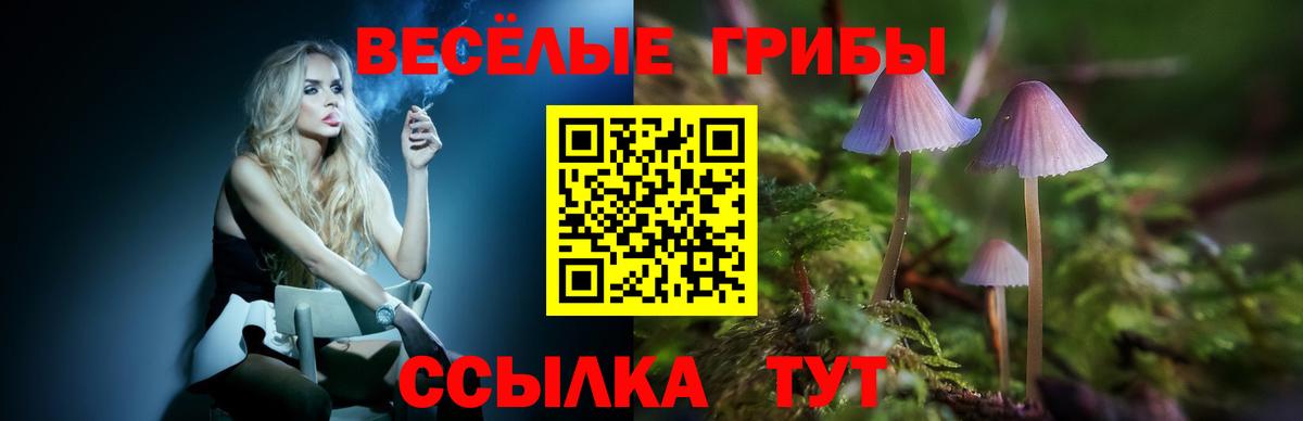 Галлюциногенные грибы мухоморы Шали